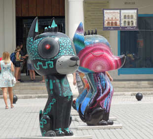 Süße "Hundis" in der Altstadt