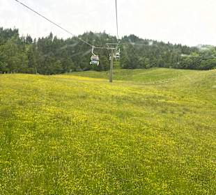Wandern Maria Alm