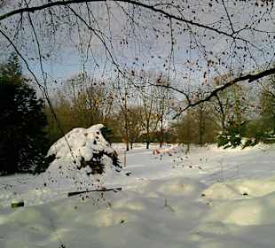 Winterliche Eindrücke