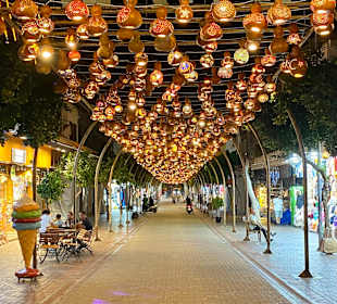 Stadtrundfahrt Alanya