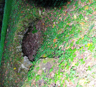 Alte Feldüberquerungen