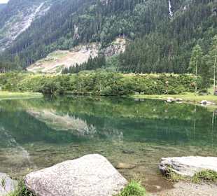Wandern Wald im Pinzgau