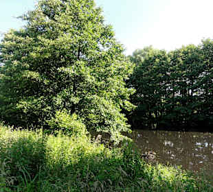 Impressionen aus dem Oslebshauser Park