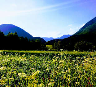 Wandern Pichl-Kainisch