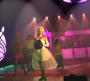 Europapark im Winter