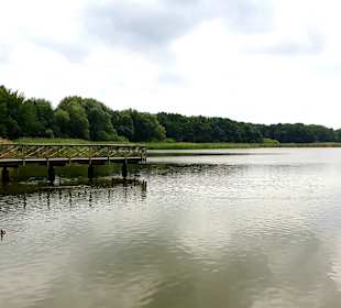 Schmachter See