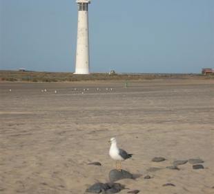 Vom Strand aus gesehen