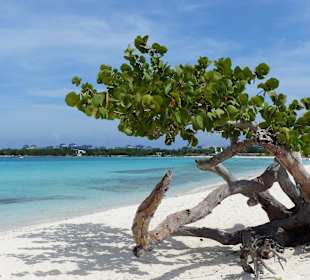 PLAYA PESQUERO