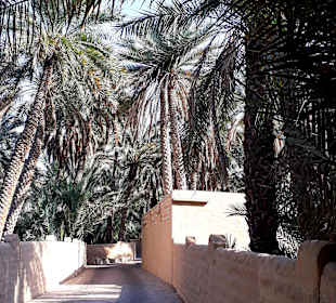 Al Ain Oase