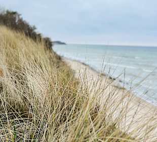 Strand Bakenberg auf Rügen