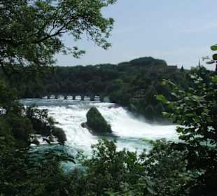 Las cascadas de Schaffhausen