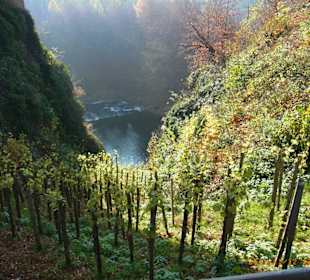 Blick von der Burg Kriebstein
