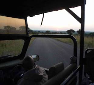 Krüger Nationalpark