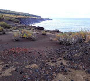 Ponta dos Capelinhos