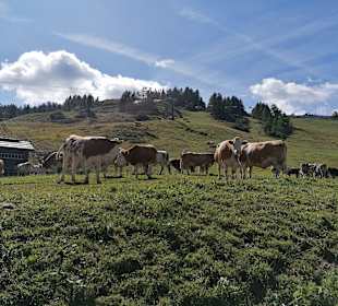 Wandern Hermagor - Pressegger See