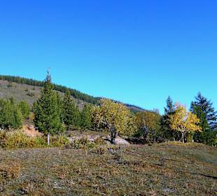 Gorkhi Terelj Nationalpark