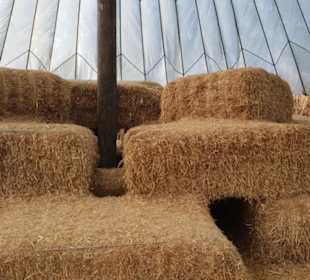 Maislabyrinth Südlohn