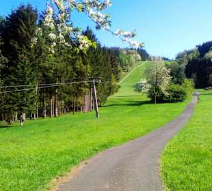 Panoramaweg Sankt Wendeler Land in Nonnweiler