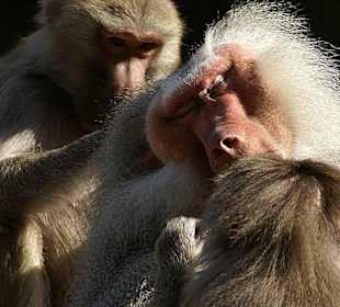 Weiter so, das tut wirklich gut