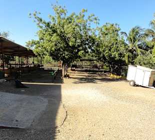 Rundgang über das Gelände der Rancho Alegre