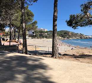 Strand Paguera/Peguera