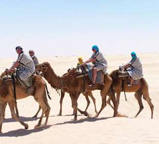 Jízda na velbloudech