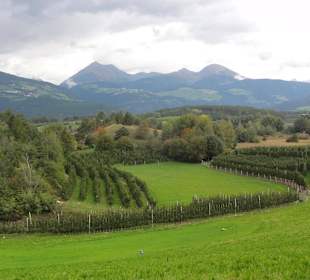 Herrlicher Ausblick
