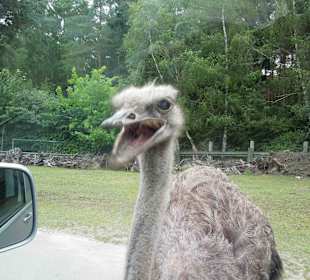 Serengeti Park Hodenhagen