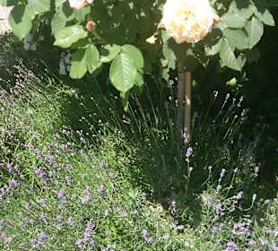 Orientalischer Garten