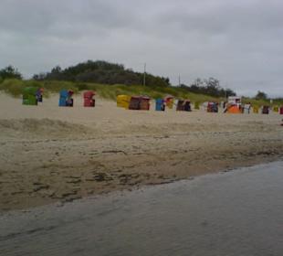 Tagesausflug: Fahrt mit der Fähre nach Föhr