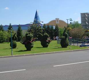 schöne Randbegrünung