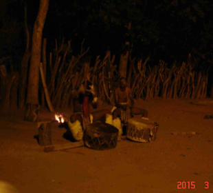 Krüger Nationalpark