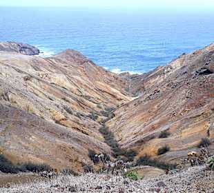 Inseltour Porto Santo