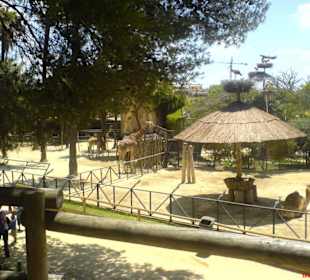 Zoo von Jerez de la Frontera