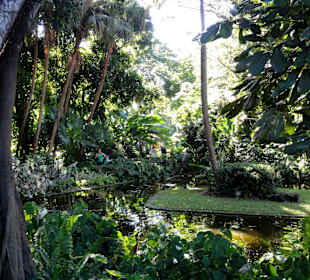 Impressionen aus dem Jardin Botanique de Deshaies