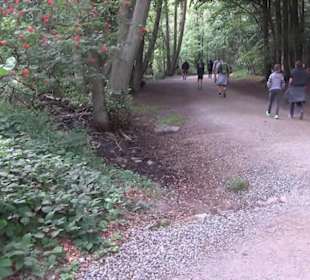 Nationalpark Jasmund