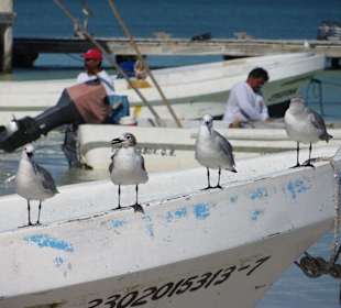 Nähe Hafen Holbox