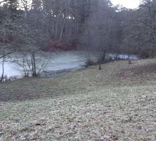 Wanderung rund um den Ochsenweiher