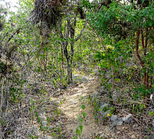 Eindrücke vom Rundgang über den Trail