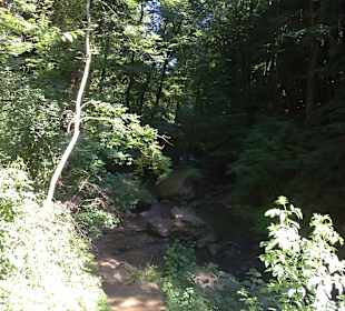 Kleine Luxemburger Schweiz bei Echternach