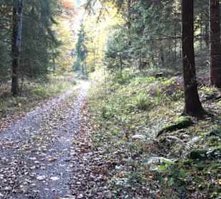 Geschichtslehrpfad Streichen