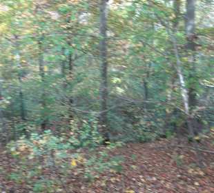 Wandertour "Rund um den Rossberg" Öschingen