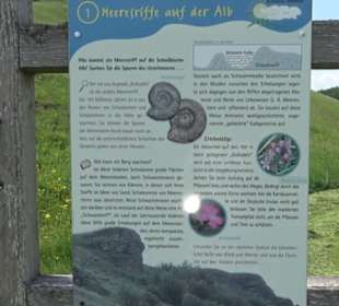 Naturdenkmal Kalkstein