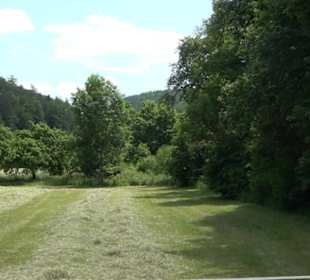 Wiesaztal Gönningen