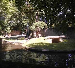 Tierpark Hagenbeck