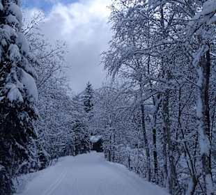 Wandern Kleinarl