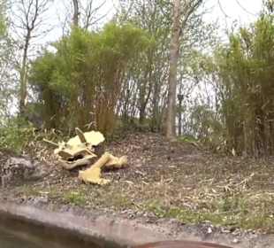 Land der Abenteuer - Dschungel X-pedition