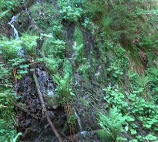 Griesbacher Wasserfälle Bad Griesbach