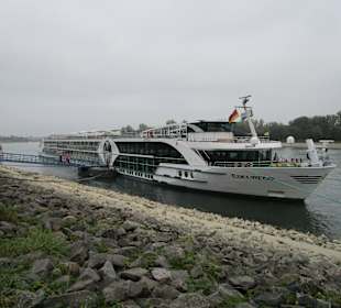 Flisskreuzfahrtschiffe schauen