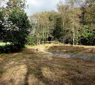 Impressionen vom Hochmoor am Weg